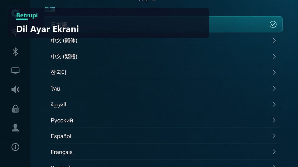Ayarlar menüsünde arayüz dili listesi ve seçili dilin göründüğü ekran